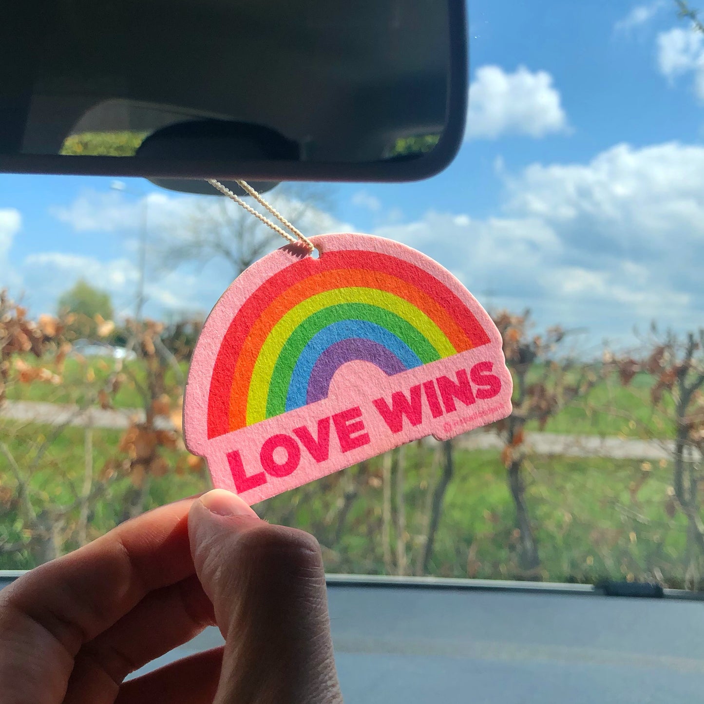 LOVE WINS