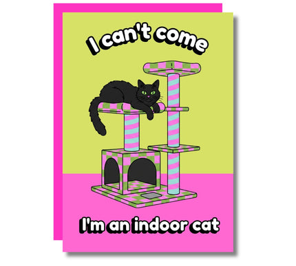 INDOOR CAT