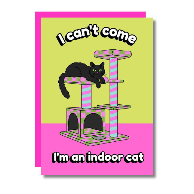 INDOOR CAT