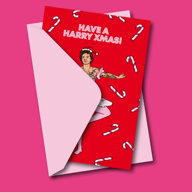 HARRY XMAS