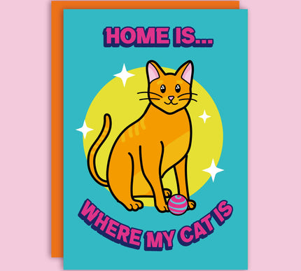 WHERE MY CAT IS 🐈