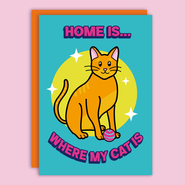 WHERE MY CAT IS 🐈