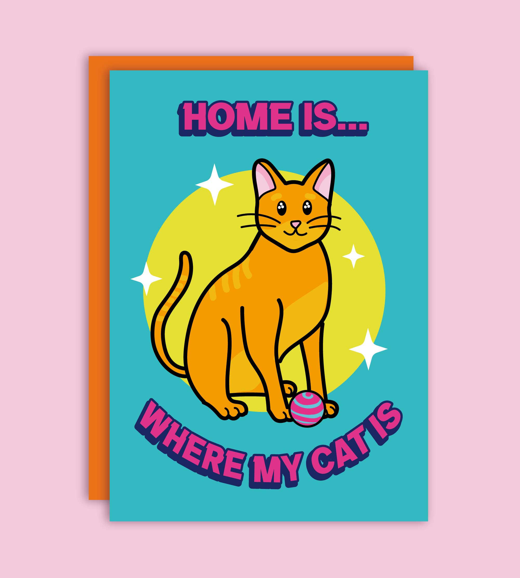 WHERE MY CAT IS 🐈