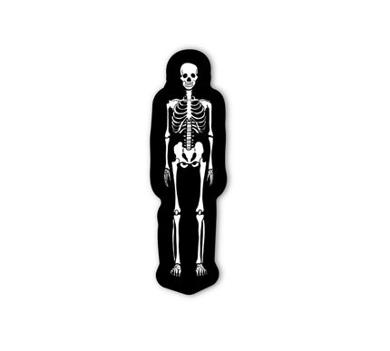 SKELETON