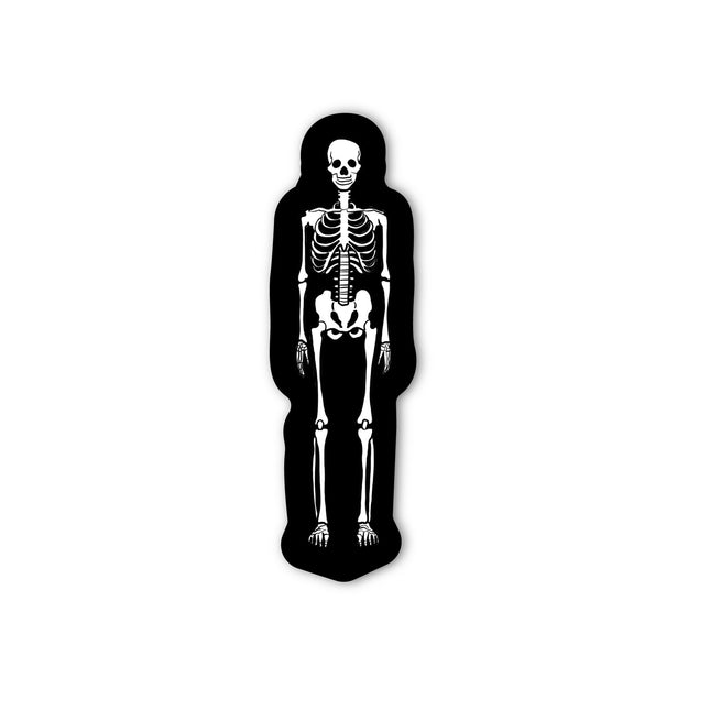 SKELETON